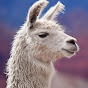 Beady Llama