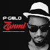 logo P-Gelo