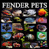 Fender Pets Nepal