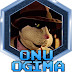 Onu Ogima