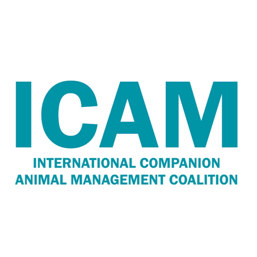 ICAM Coalition