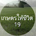 เกษตร ให้ชีวิต19