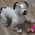 aibo_zero