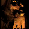 Artist Thumbnail