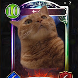 チャンネル