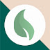 logo Minty Network