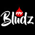 logo Bludz FPV