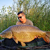 Martin Pogonyi (CarpTime Fishing)