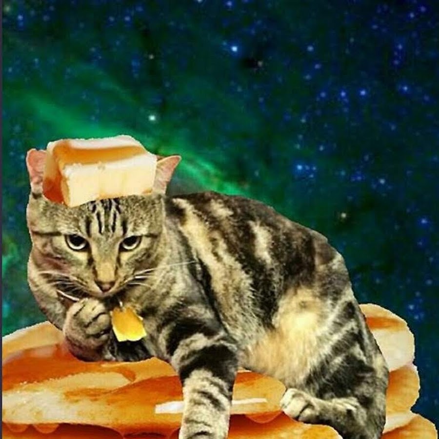 Katze darf der Kevin zu mir spielen kommen YouTube