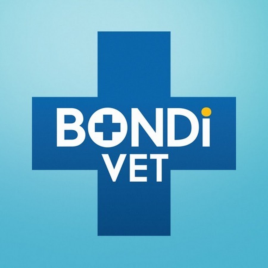 Bondi Vet