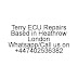 TERRY ECU REPAIRS