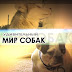 logo Удивительный мир собак