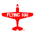 logo FLYING HAI “Capt. Roy Valenzuela”