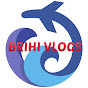 Brihi Vlogs