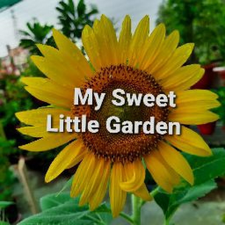 my-sweet-little-garden-youtube