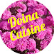 doina cuisine