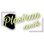 Plesiran Asik