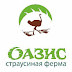 logo КФХ Оазис