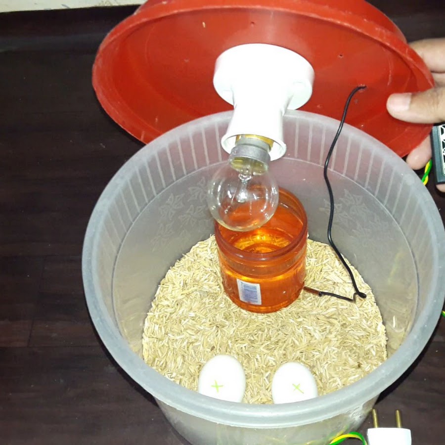 DIY Homemade Incubator