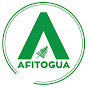 Afitogua Guatemala