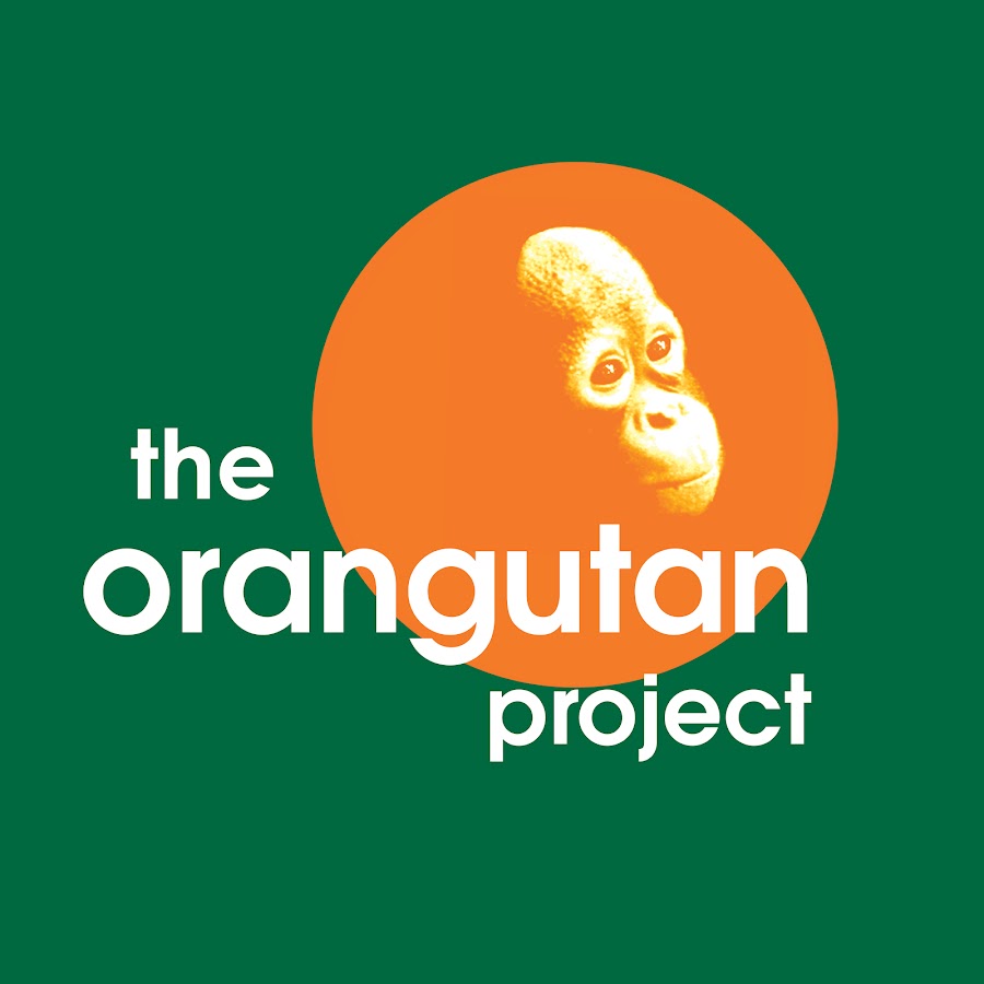 The Orangutan Project @TheOrangutanProject