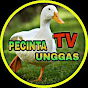 PECINTA UNGGAS TV