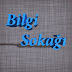 Bilgi Sokağı