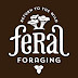 logo Feral Foraging