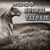 logo Mundo Animal Salvaje