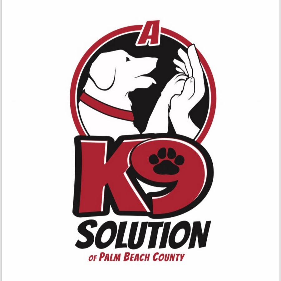 A K9 Solution