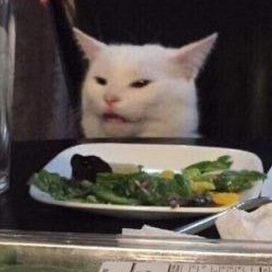 influencer profile picture