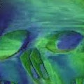 Artist Thumbnail