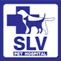 SLV TV