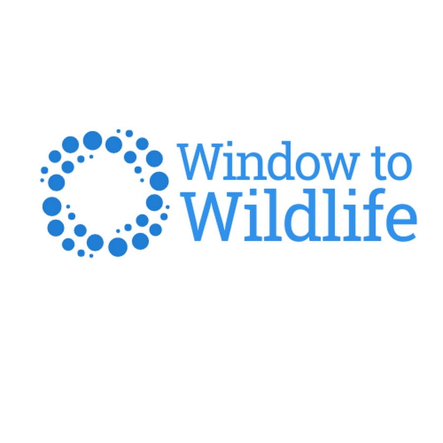 Window To Wildlife