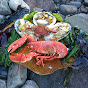 Coastal Foraging With Craig Evans