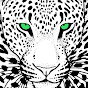 Kaleel Zibe - Wild Leopard Films