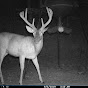 Bald guy deer farming