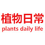 植物日常plants daily life