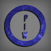 logo Play It Wider