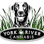 York River Cannabis