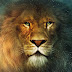 logo Video Club Leo