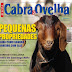 Revista Cabra & Ovelha Pé na Estrada - Hilux