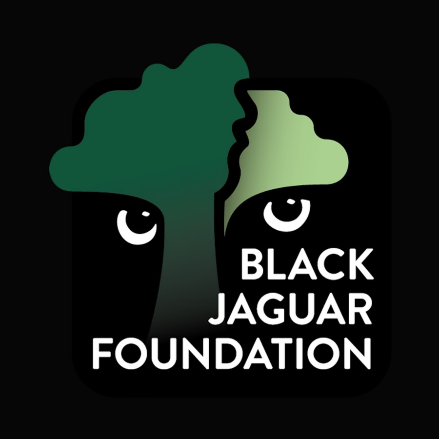 Black Jaguar Foundation