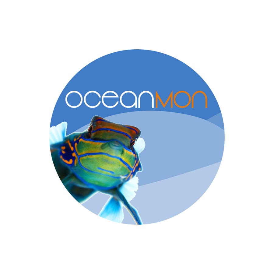 OceanMon