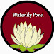 Waterlily pond