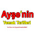 Ayşe's Recipes