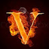 logo VEBER xs