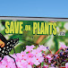 Save on Plants