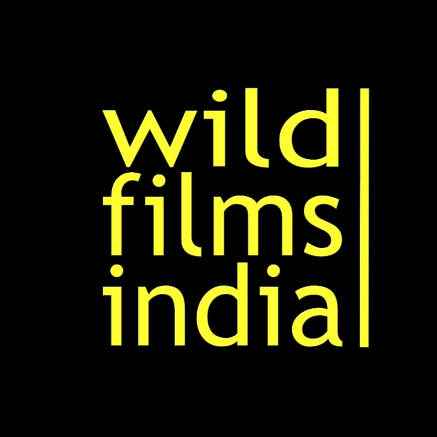 WildFilmsIndia