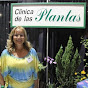 Bertila Ramos - Clinica de las Plantas